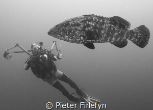 Say cheese! by Pieter Firlefyn 